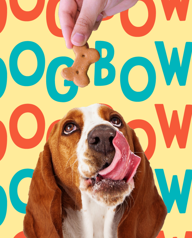 the-dog-bowl-deli
